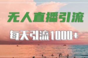 抖音快手视频号全平台通用，无人直播引流法，超暴力引流1000+高质量精准创业粉【揭秘】-麦资源网