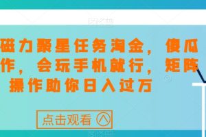 快手磁力聚星任务淘金，傻瓜式操作，会玩手机就行，矩阵操作助你日入过万-麦资源网
