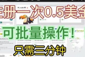 国外项目注册一次0.5美金，只需三分钟无脑操作，可批量同时放大操作，小白工作室福利【揭秘】-麦资源网
