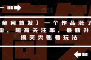 【全网首发】一个作品涨了200粉，超高关注率，最新升级版搞笑类账号玩法-麦资源网
