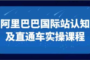 阿里巴巴国际站认知及直通车实操课-国际地产逻辑、国际站运营定位、TOP商家运营思路-麦资源网