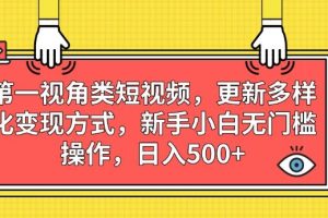 第一视角类短视频,更新多样化变现方式,新手小白无门槛操作,日入500+【揭秘】-麦资源网