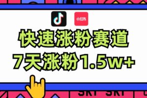 （11949期）涨粉超快蓝海赛道！轻松伪原创，7天涨粉1.5w+-麦资源网
