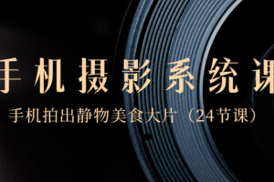 （8671期）0基础-手机摄影系统课，手机拍出静物美食大片（24节课）-麦资源网