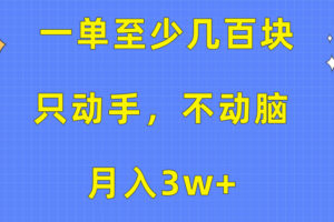 （10356期）一单至少几百块，只动手不动脑，月入3w+。看完就能上手，保姆级教程-麦资源网