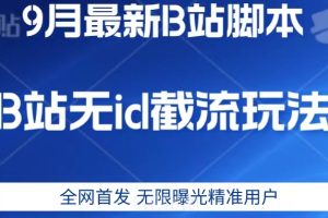 9月B站最新无id截流精准用户内免费附软件以及教程【揭秘】-麦资源网