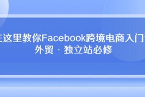 （10259期）在这里教你Facebook跨境电商入门课，外贸·独立站必修-麦资源网