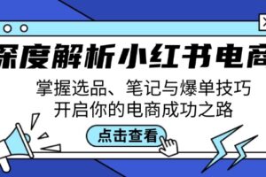 （12585期）深度解析小红书电商：掌握选品、笔记与爆单技巧，开启你的电商成功之路-麦资源网