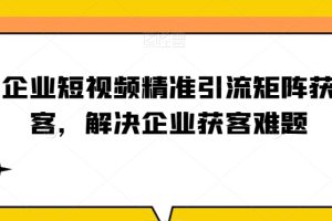 企业短视频精准引流矩阵获客，解决企业获客难题-麦资源网