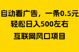 （10306期）广告收益风口，轻松日入500+，新手小白秒上手，互联网风口项目-麦资源网