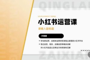 许筐筺·小红书运营课，​笔记运营、规则、店铺运营等模块讲解，学会自己独立运营小红书账号-麦资源网