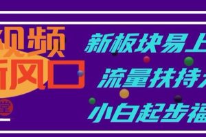 中视频新风口,新板块易上手,流量扶持大,小白起步福音【揭秘】-麦资源网