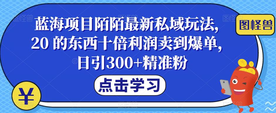 蓝海项目陌陌*私域玩法，20 的东西十倍利润卖*单，日引300+*粉【揭秘】
