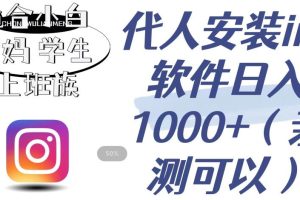 代人安装ins软件日入1000+，适合小白宝妈学生上班族（亲测可行）【揭秘】-麦资源网