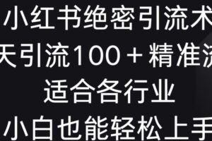 小红书绝密引流术，一天引流100+精准流量，适合各个行业，小白也能轻松上手【揭秘】-麦资源网