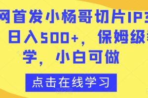 全网首发小杨哥切片IP3.0，日入500+，保姆级教学，小白可做【揭秘】-麦资源网