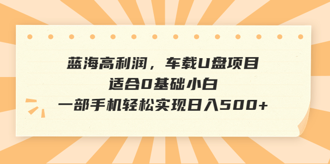 图片[1]-（6600期）蓝海高利润，车载U盘项目，适合0基础小白，一部手机轻松实现日入500+