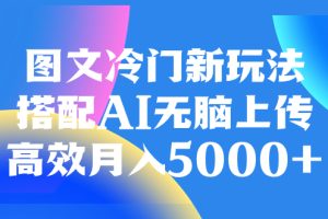 （8097期）图文冷门新玩法，搭配AI无脑上传，高效月入5000+-麦资源网