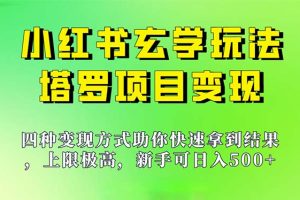 （7079期）新手也能日入500的玩法，上限极高，小红书玄学玩法，塔罗项目变现大揭秘-麦资源网
