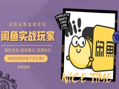 手把手教你0到1系统玩转闲鱼变现，*思维/*曝光/*转化