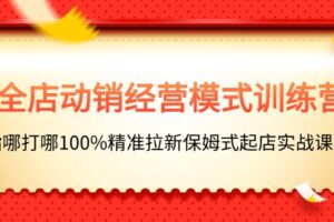 （11460期）全店动销-经营模式训练营，指哪打哪100%精准拉新保姆式起店实战课程-麦资源网