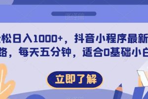 轻松日入1000+，抖音小程序最新思路，每天五分钟，适合0基础小白【揭秘】-麦资源网