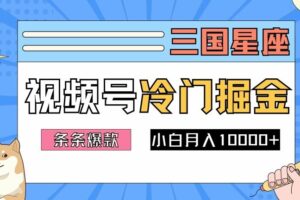2024视频号三国冷门赛道掘金，条条视频爆款，操作简单轻松上手，新手小白也能月入1w-麦资源网