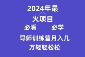 （9301期）导师训练营互联网最牛逼的项目没有之一，新手小白必学，月入3万+轻轻松松-麦资源网