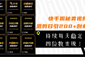 （7999期）快手揭秘类视频混剪日引200+创业粉！持续每天四位数变现！-麦资源网