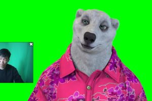 （4181期）实时直播换脸卡通形象出镜，卡通形象面部捕捉(软件＋教程)-麦资源网