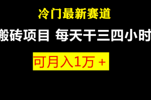 （6665期）最新冷门游戏搬砖项目，零基础也能玩（附教程+软件）-麦资源网
