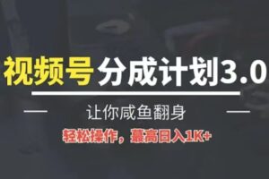 24年视频号冷门蓝海赛道，操作简单，单号收益可达四位数-麦资源网