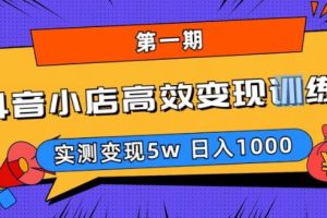 抖音小店高效变现训练营,实测变现5w，日入1000【揭秘】-麦资源网