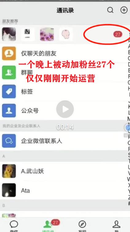 2023*日引百粉*，小白一部手机无脑照抄也能日入过百