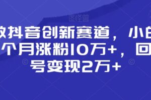 靠做抖音创新赛道，小白也能一个月涨粉10万+，回收账号变现2万+【揭秘】-麦资源网