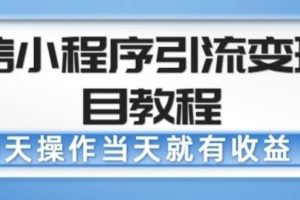 微信小程序引流变现项目教程，当天操作当天就有收益，变现不再是难事-麦资源网