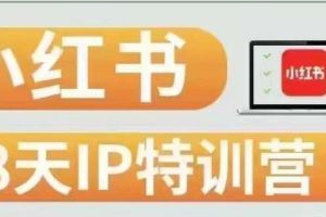 28天小红书博主IP特训营实战经验，快速涨粉，迅速变现-麦资源网