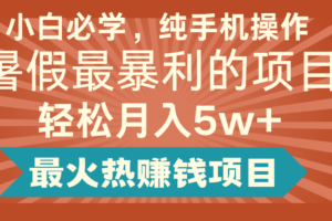2024暑假最赚钱的项目，小红书咸鱼暴力引流简单无脑操作，每单利润最少500+-麦资源网