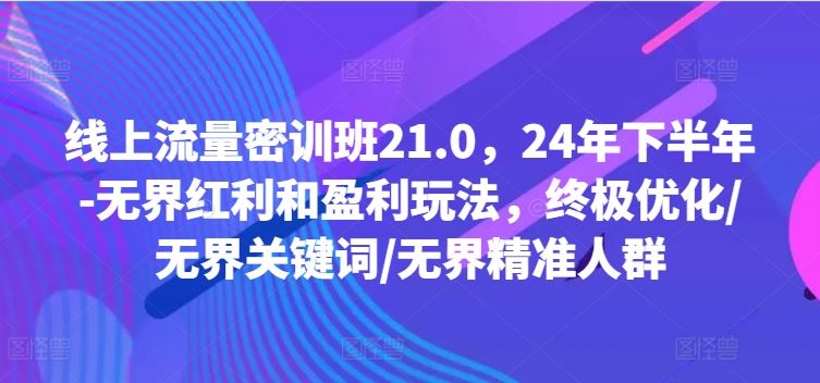 线*量密训班21.0，24年下半年-*红利和盈利玩法，*优化/*关键词/**人群