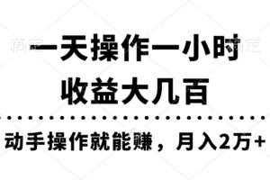 （11263期）一天操作一小时，收益大几百，动手操作就能赚，月入2万+教学-麦资源网
