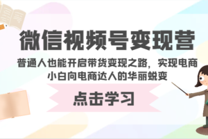 微信视频号变现营-普通人也能开启带货变现之路，实现电商小白向电商达人的华丽蜕变-麦资源网