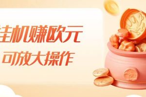 挂机赚欧元，单窗口5-10+，小白可操作，可放大【揭秘】-麦资源网