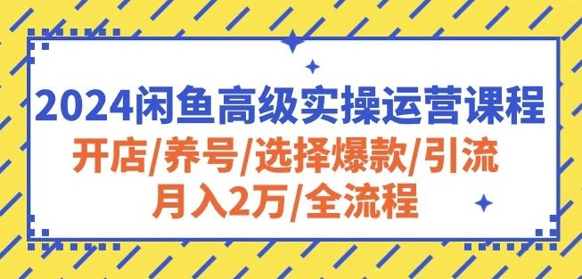 2024闲鱼*实操运营课程：开店/养号/选择*/引流/月入2万/全流程