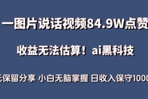 一图片说话视频84.9W点赞，收益无法估算，ai赛道蓝海项目，小白无脑掌握日收入保守1000+【揭秘】-麦资源网