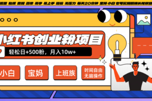 小红书创业粉日+500，月入10W+，无脑操作，每天20分钟-麦资源网
