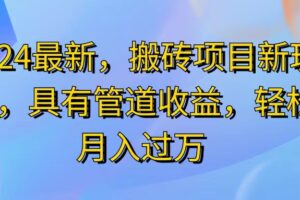 （11616期）2024最近，搬砖收益新玩法，动动手指日入300+，具有管道收益-麦资源网