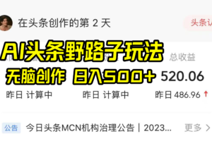 AI头条野路子玩法，无脑创作，日入500+-麦资源网