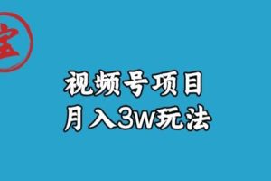 宝哥视频号无货源带货视频月入3w，详细复盘拆解-麦资源网