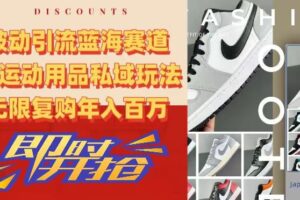被动引流蓝海赛道，AJ运动用品私域玩法，无限复购年入百万【揭秘】-麦资源网