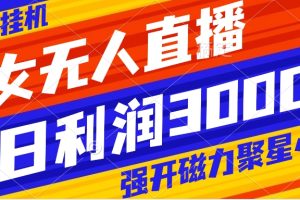 （8158期）快手挂机，美女无人直播，强开磁力聚星小铃铛，日入3000+-麦资源网